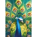 Dixit Uhol pohľadu 1000 dielov