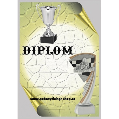 VIZINGR Motokáry diplom A4 č.6