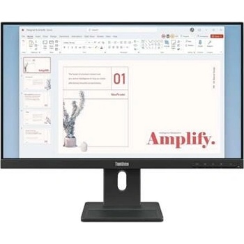 Lenovo ThinkVision E24-40