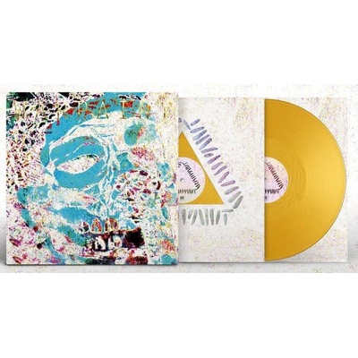 Warpaint - The Fool Andrew Weatherall Remixes Limited Edition LP