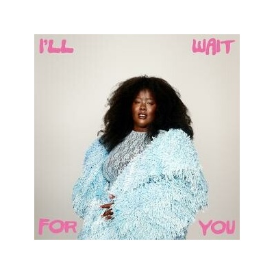 NNAVY - I\'LL WAIT FOR YOU LP
