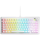 Glorious PC Gaming Race GMMK 3 75 White Fox Linear Switc (GL-KEY-GATA-2729)