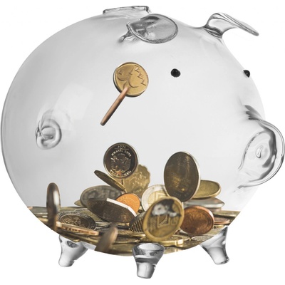 Pokladnička na dárek Velké prasátko na mince Skleněné bankovky Průhledné – Zbozi.Blesk.cz