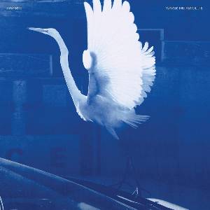 Sybarite - Waver The Absolute (LP) (0656605327419)