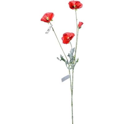 KS MAK ČERVENÝ 70CM