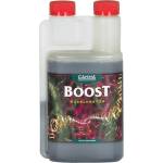 CANNA Boost Accelerator 500ml