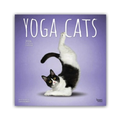 Yoga Cats Katzen Yoga 16Monats 2026