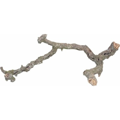 Lucky Reptile Tronchos korková větev 30-40 cm