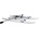 Katamaran XCAT Basic+RowMotion