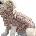 Surtep Animals