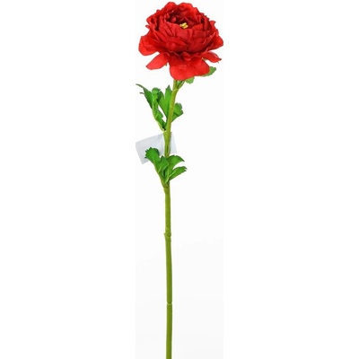 RANUNCULUS ČERVEN. KS 47CM