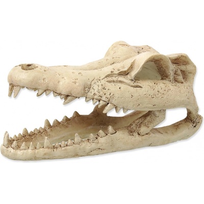 Repti Planet Krokodília lebka 13,8 cm
