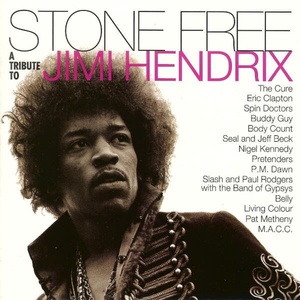 Warner Various: Stone Free: Jimi Hendrix Tribute - 2Vinyl (LP) (036509)