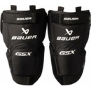 Bauer GSX