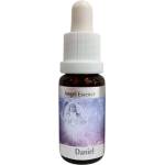 PHI Essences Показва Висшия смисъл - Есенция Даниел (Angel Esssence № 6), капки 15 ml (6 ANGEL)