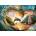 Ravensburger - Puzzle Sunset Splash - 1 000 piese