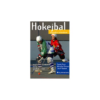 Hokejbal