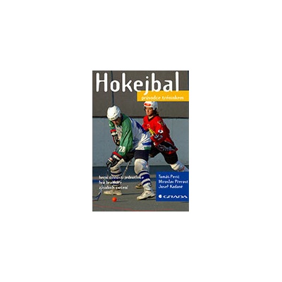 Hokejbal