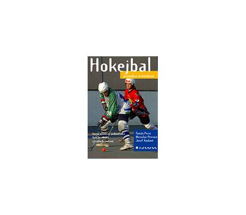 Hokejbal