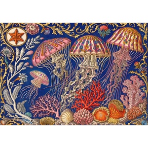 Bluebird Puzzle - Puzzle The Jelly Fish Ballet - 1 000 piese