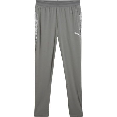Puma teamCUP Training pants 659175-13