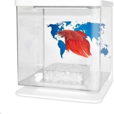 Cat-Gato Betarium Betta kit world map 2 l
