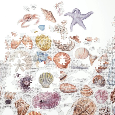 Beachcombers Companion 1000 dielov With Shaped Pieces McMenemy Sarah