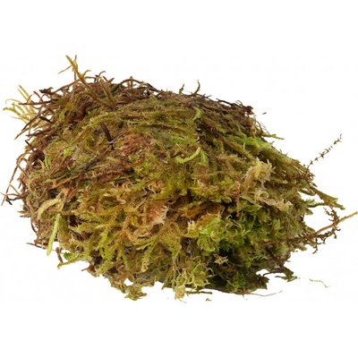 HabiStat Sphagnum Moss 1 kg – Zboží Mobilmania