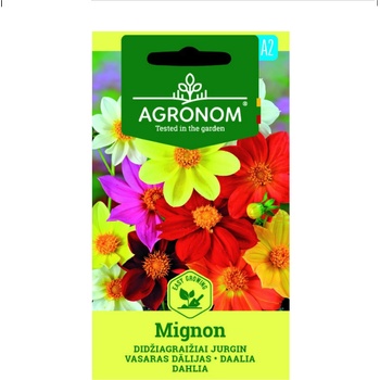 Seklos Далия / Dhalia Mignon