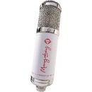 Monkey Banana Mangabey