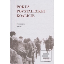 Pokus povstaleckej koalície