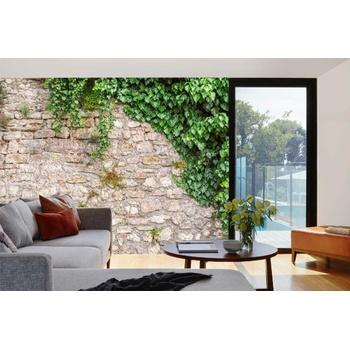 DIMEX ART s. r. o Самозалепваща се флизелинова фототапета каменна стена с листа 375 x 250 см