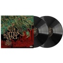 Lamb of God Ashes of the Wake 20th Anniversary Edition 2 LP