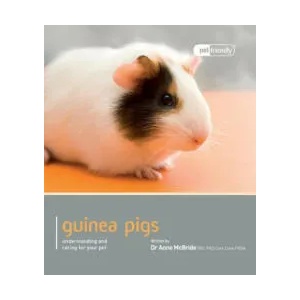 Guinea Pig - Pet Friendly | Anne McBride (ISBN: 9781907337031)