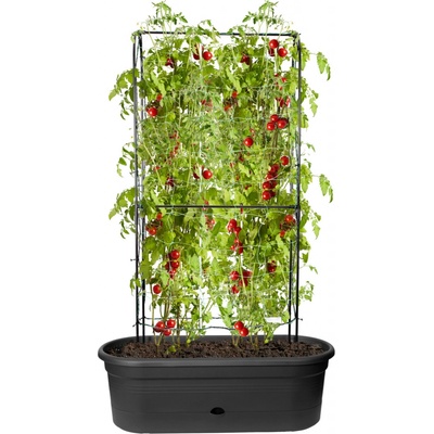 Elho Truhlík Green Basics Veggie Wall 80 cm černý