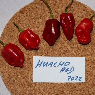 ? ️ Семена от Люти Чушки - Huancho Red - 15 броя (208216)