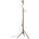 TK Lighting 16045