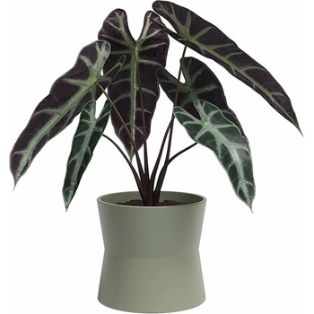 Artevasi Керамична саксия за цветя ø 14 cm Diana - Artevasi (ZAC-848571)