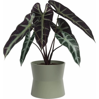 Artevasi Керамична саксия за цветя ø 14 cm Diana - Artevasi (ZAC-848571)