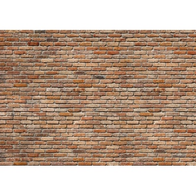 Komar 8-741 Backstein Fototapeta imitace cihlová zeď rozměry 368 x 254 cm