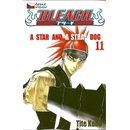 Bleach 11