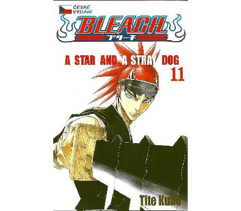 Bleach 11