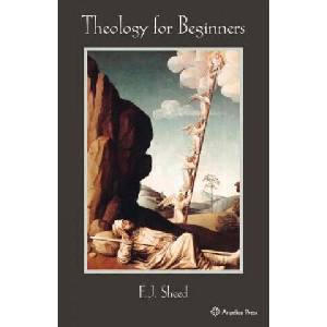 Theology for Beginners (ISBN: 9781887593922)
