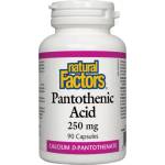Natural Factors Panthothenic Acid 250 mg, 90 Capsules