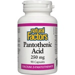Natural Factors Panthothenic Acid 250 mg, 90 Capsules