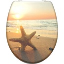 Schütte - SEASTAR82373
