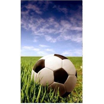 DIMEX ART s. r. o Флизелинов фототапет футболна топка 150 x 250 см