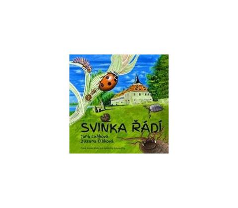 Sviňka řádí