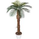 Umělá Phoenix palma, 180cm