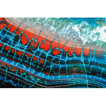 DIMEX ART s. r. o Флизелинов фототапет драконова жилка 375 x 250 см